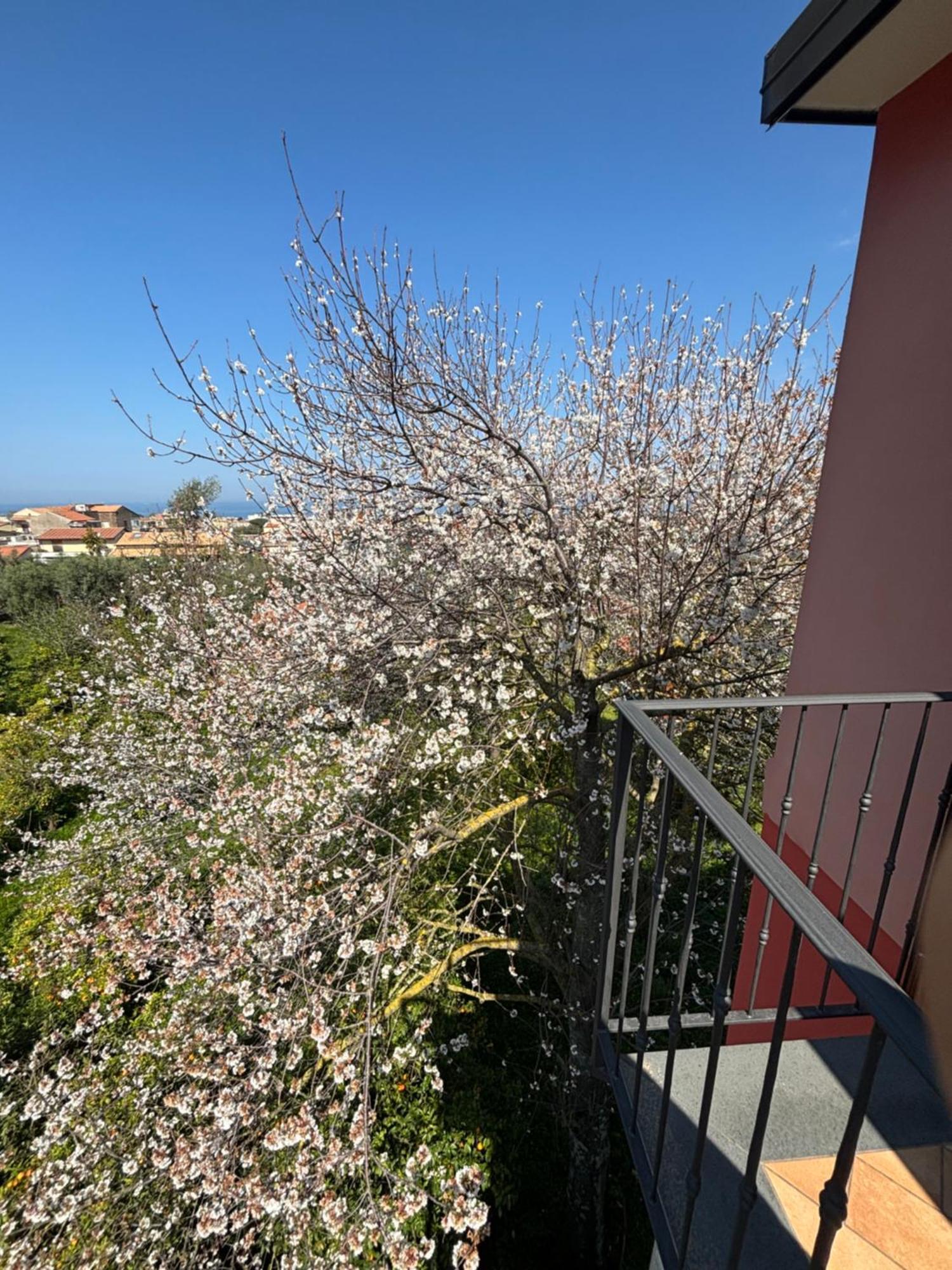 Intero Appartamento A Sant'Agnello , Le Ortensie Exterior photo